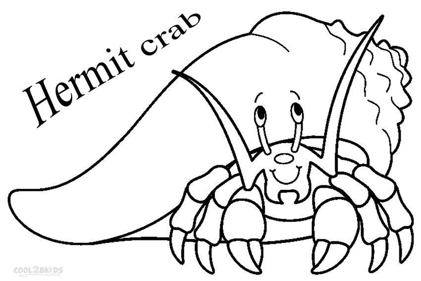 Hermit Crab Drawing