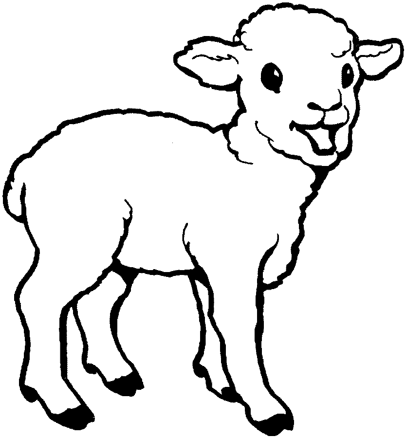 Lamb Picture Drawing