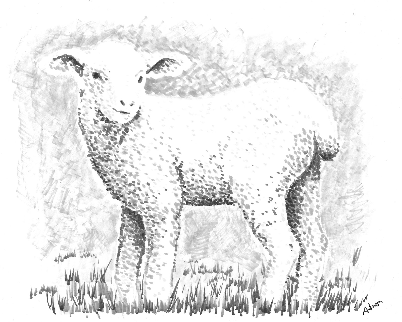 Lamb Realistic Drawing