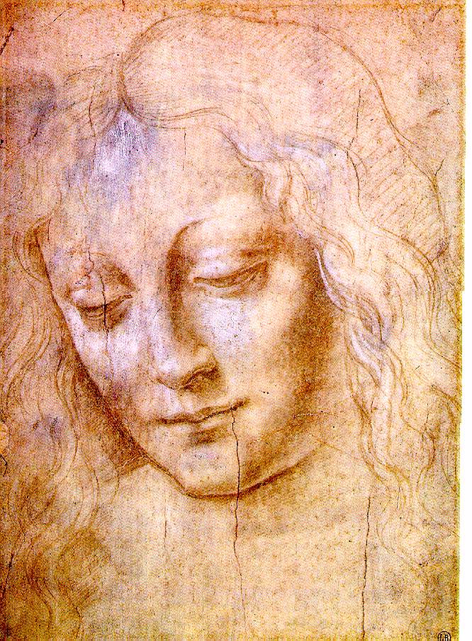 Leonardo Da Vinci Amazing Drawing