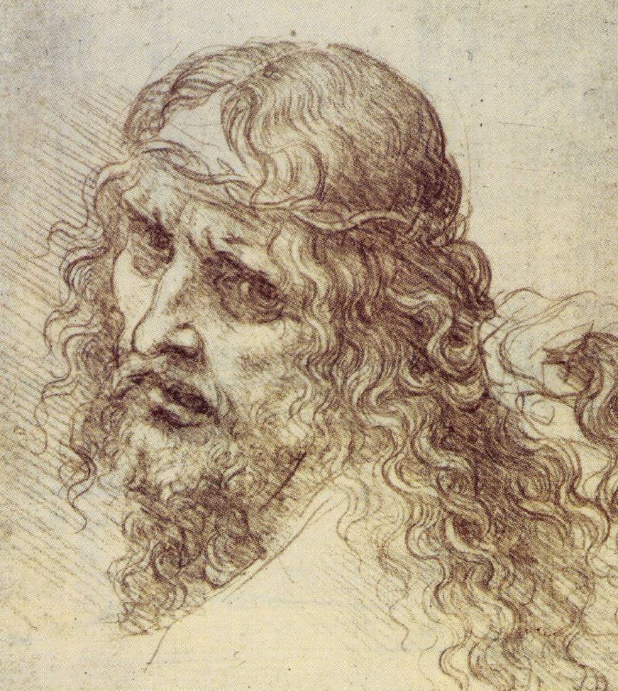 Leonardo da Vinci A Life in Drawing review Queens Gallery youll never  feel closer to the brilliance of Leonardo