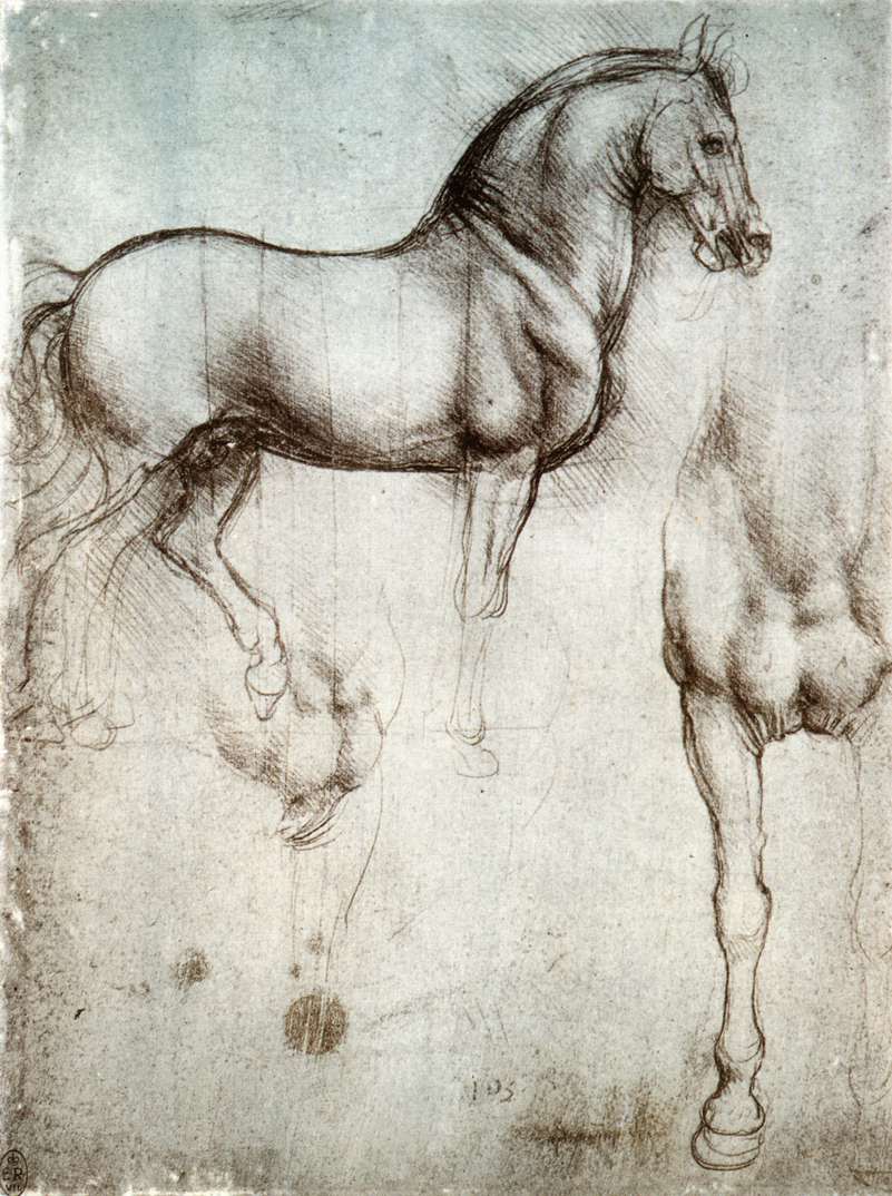 Leonardo Da Vinci Best Art