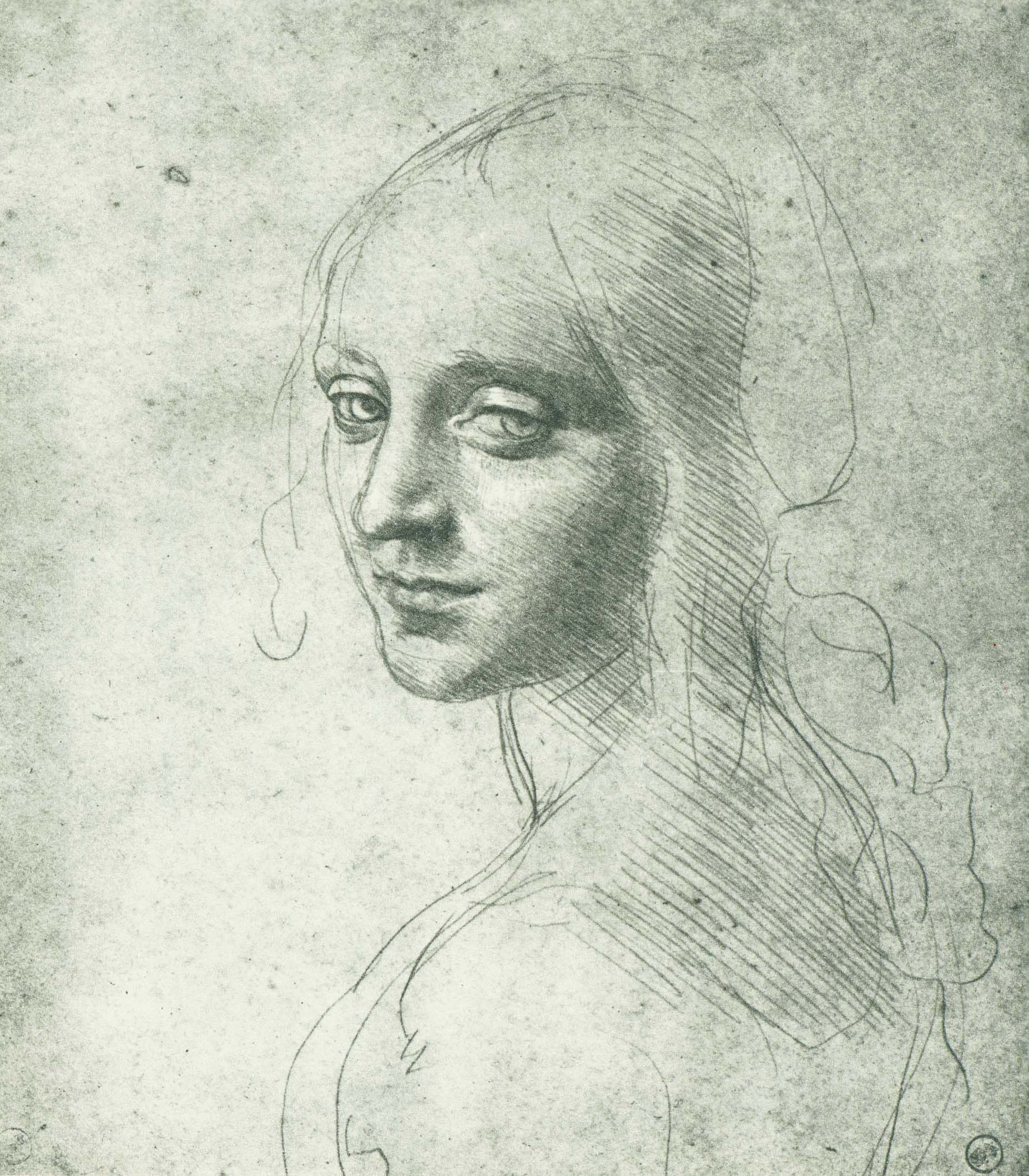 Leonardo Da Vinci Drawing Image