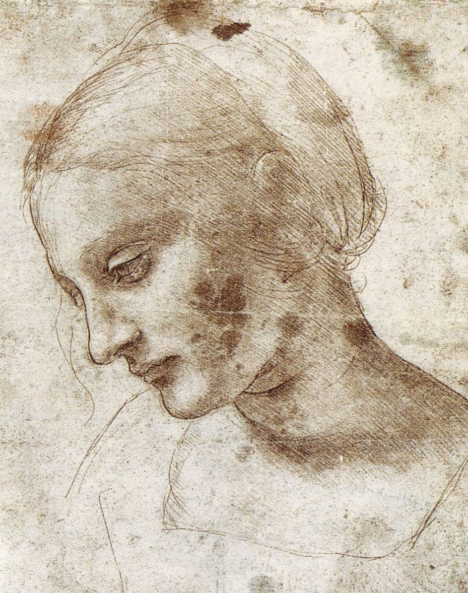 Leonardo Da Vinci Drawing Photo