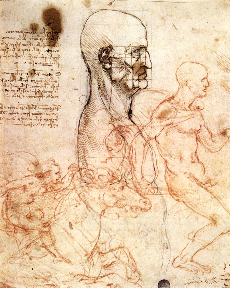 Leonardo Da Vinci Drawing Pic