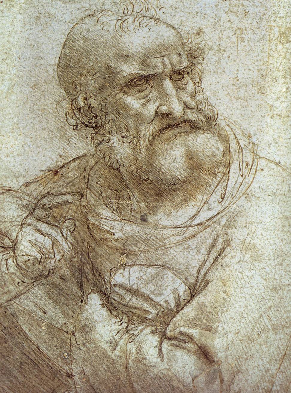 Leonardo Da Vinci Drawing Picture