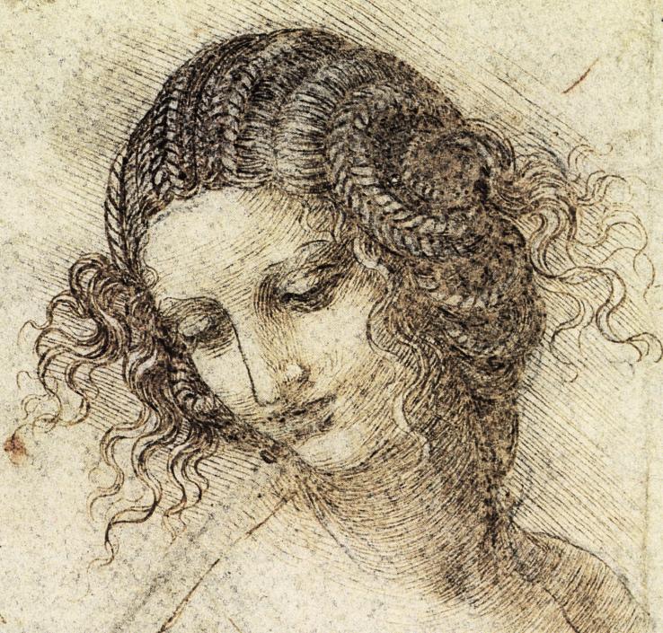 Leonardo Da Vinci High-Quality Drawing