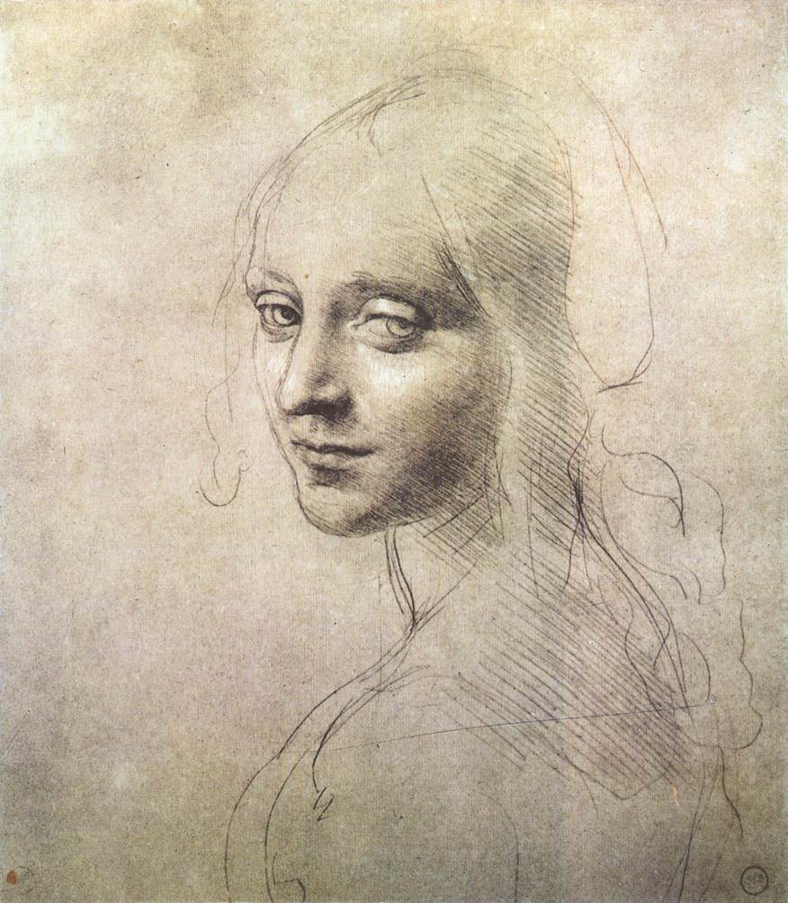 Leonardo Da Vinci Photo Drawing