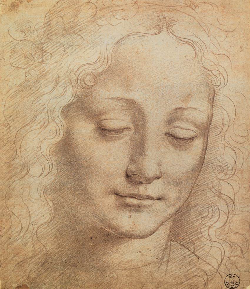 Leonardo Da Vinci Picture Drawing