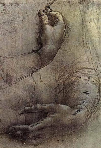 Leonardo Da Vinci Realistic Drawing