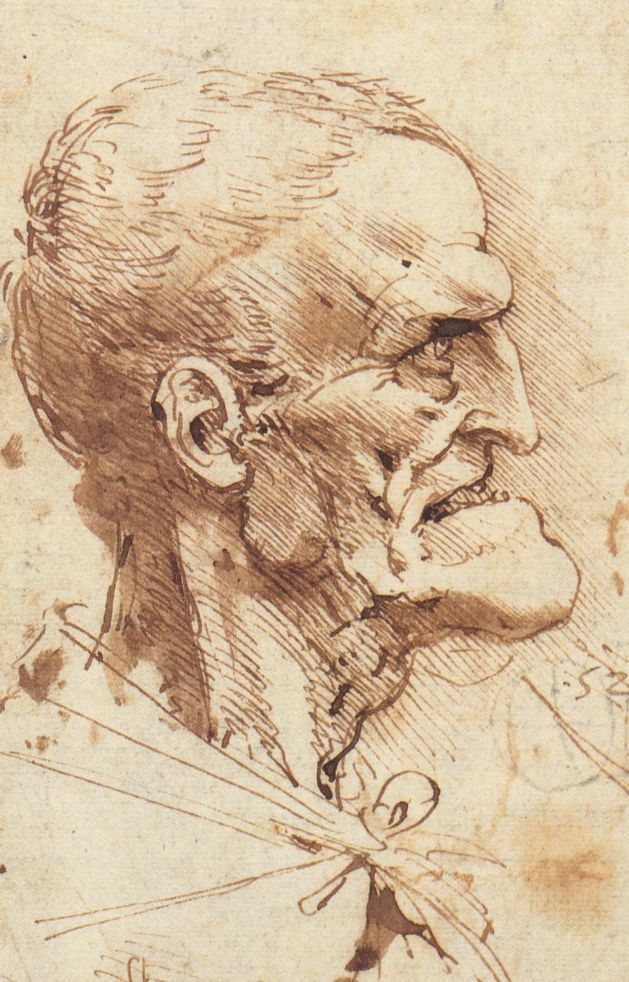 Leonardo Da Vinci Sketch