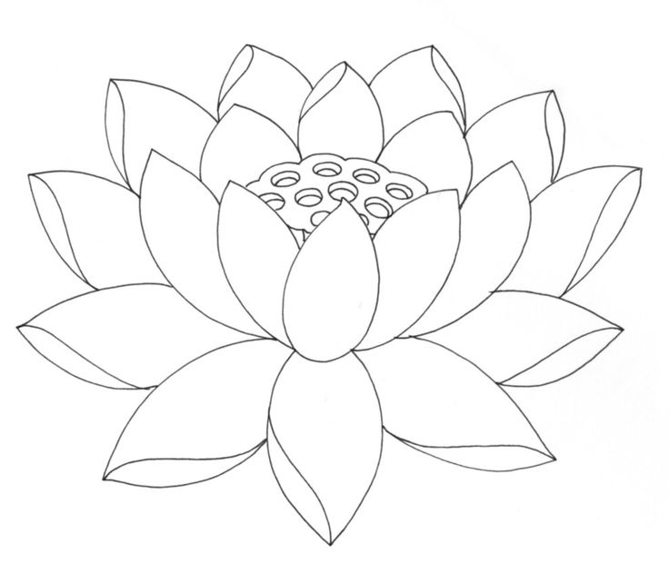 Premium Vector | Illustration of a lotus flower, vector sketch pencil art,  bouquet floral coloring page, and books