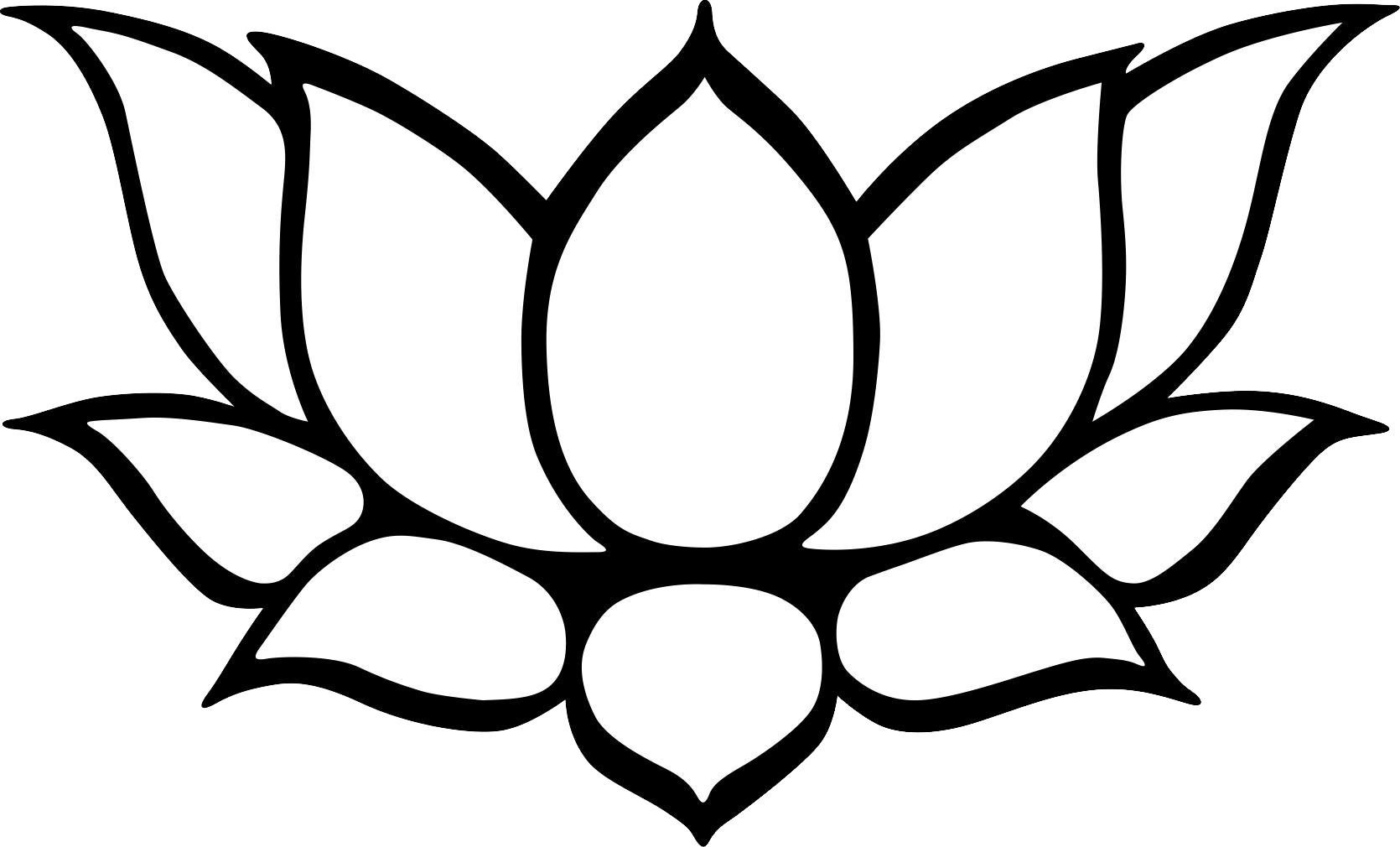 Lotus Picture Drawing