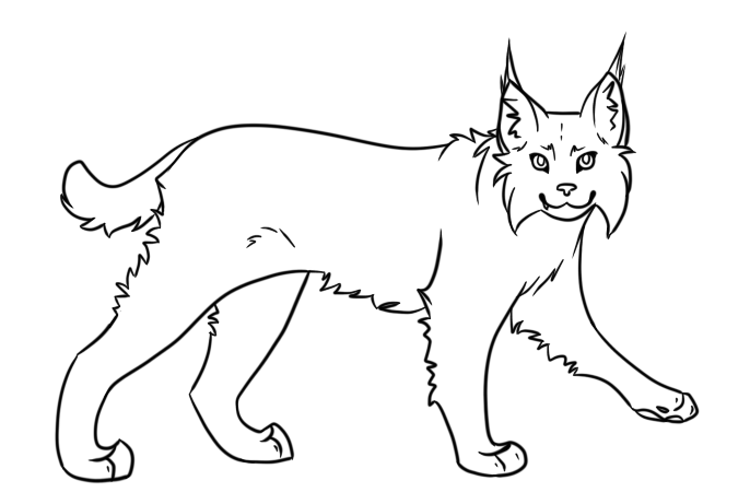 Lynx High-Quality Drawing