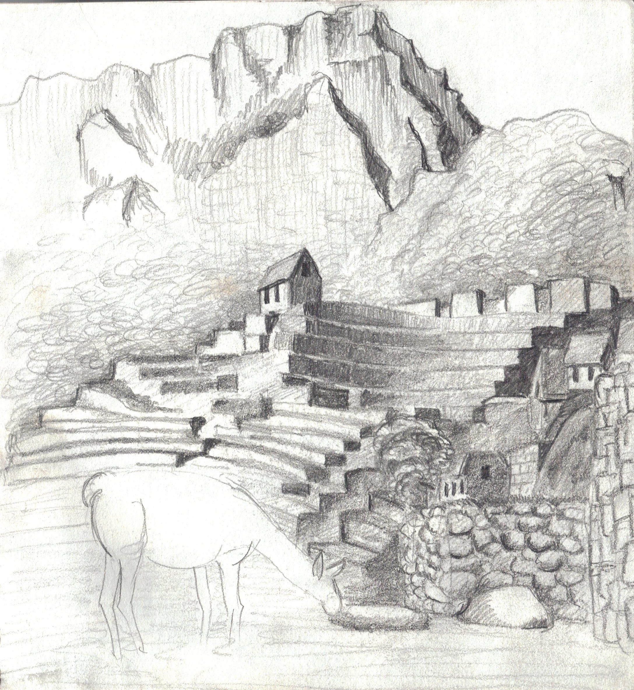 Machu Picchu Best Art