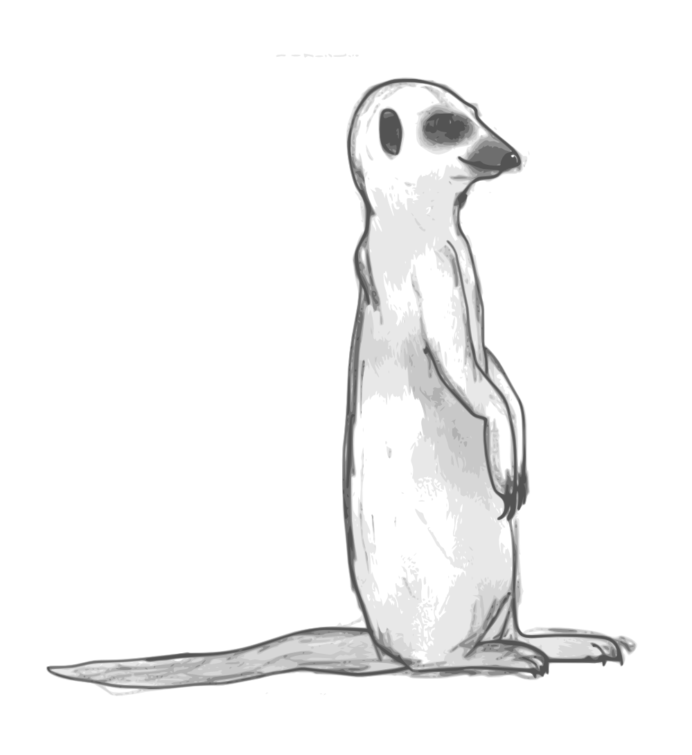 Meerkat Image Drawing