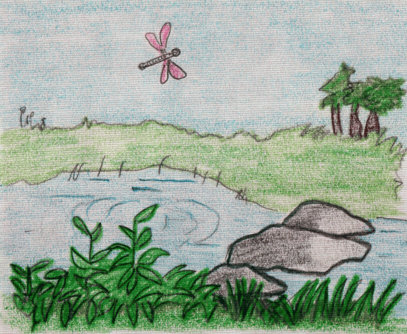 Nature Drawing Photo
