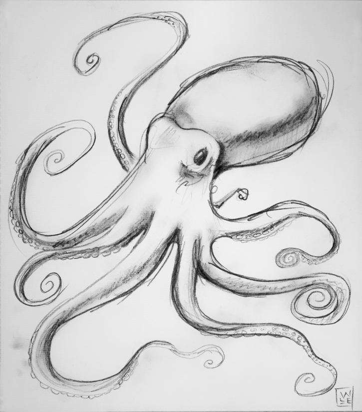Octopus High-Quality Drawing