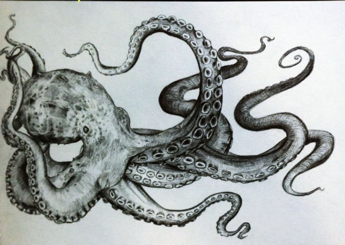 Octopus Image Drawing