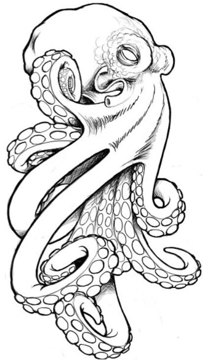Octopus Pic Drawing