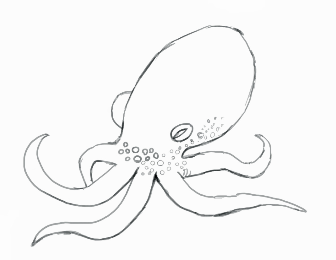 Octopus Picture Drawing