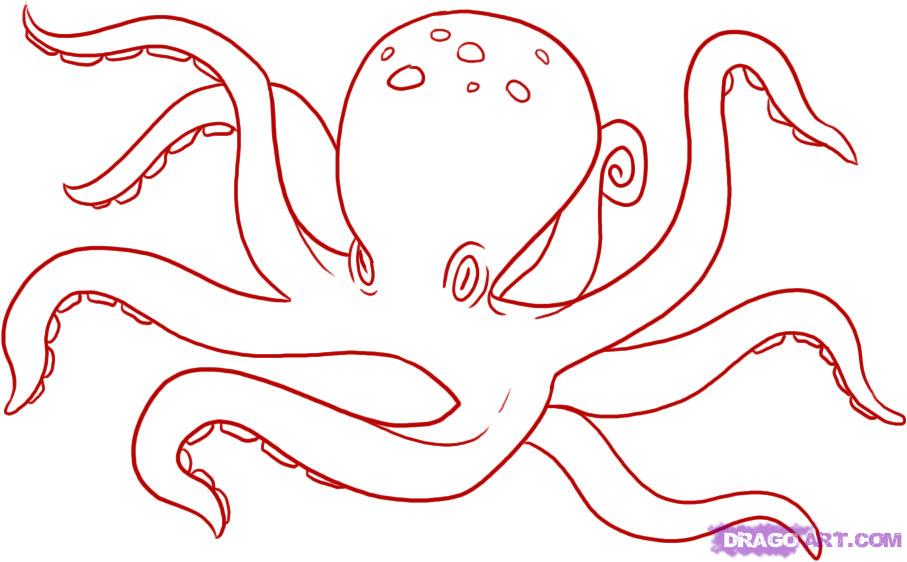 Octopus Realistic Drawing