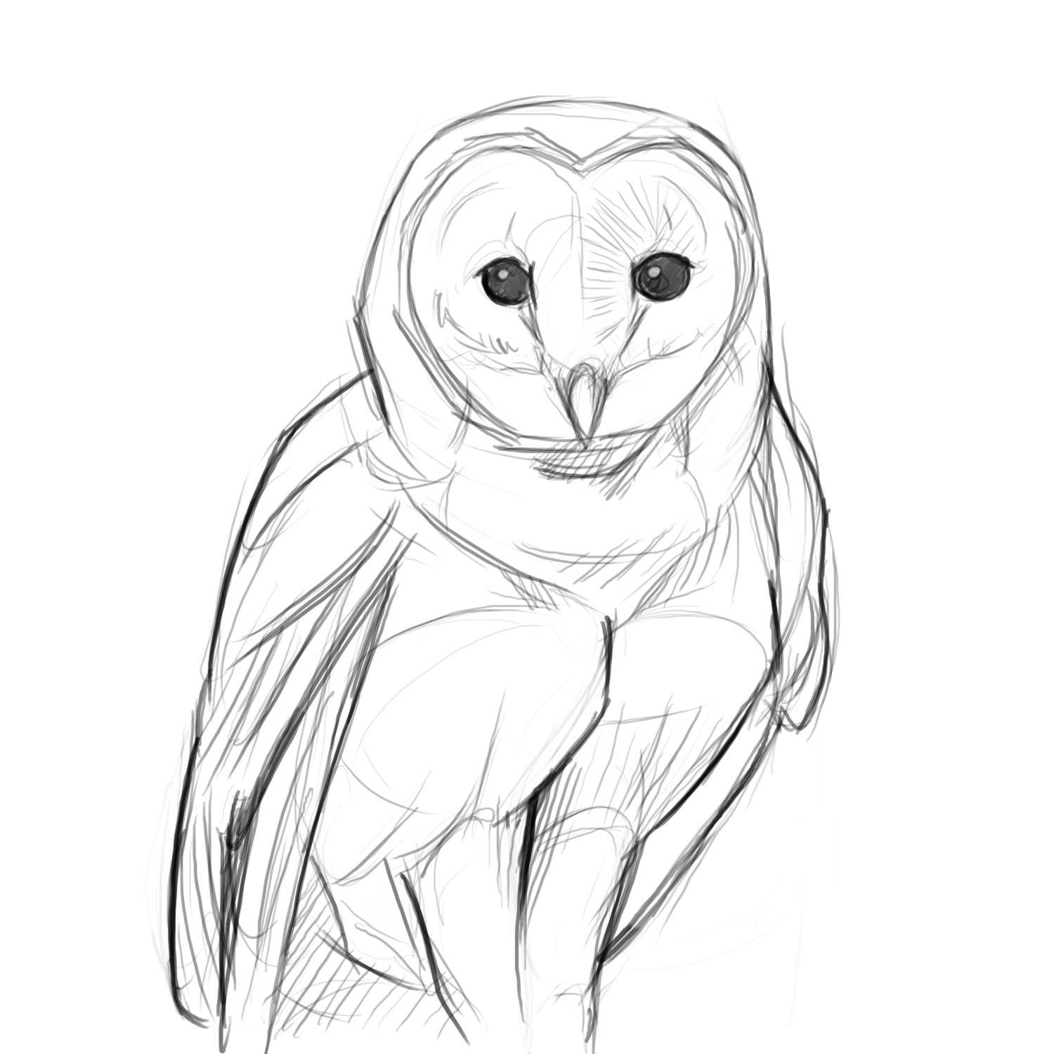 Owl Best Art