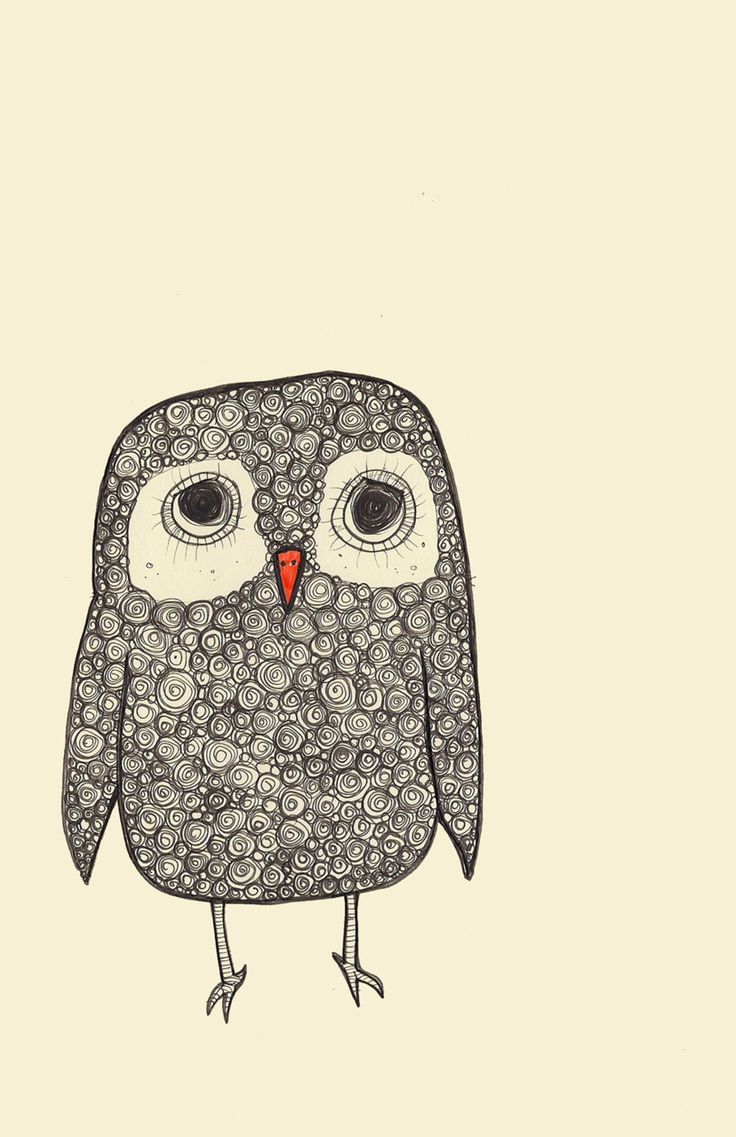 Owl Image Drawing