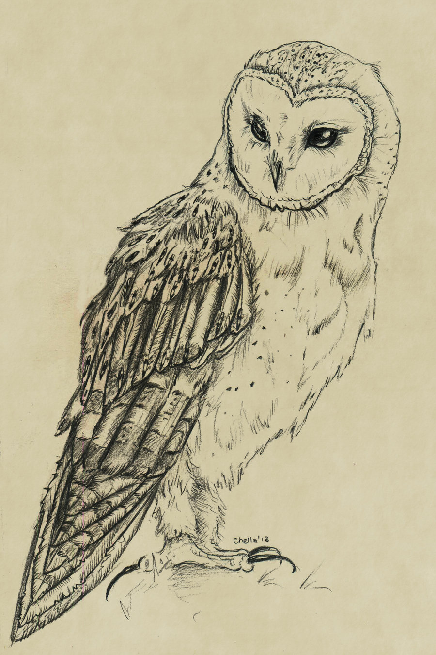 How to Draw a Realistic Owl | SketchBookNation.com