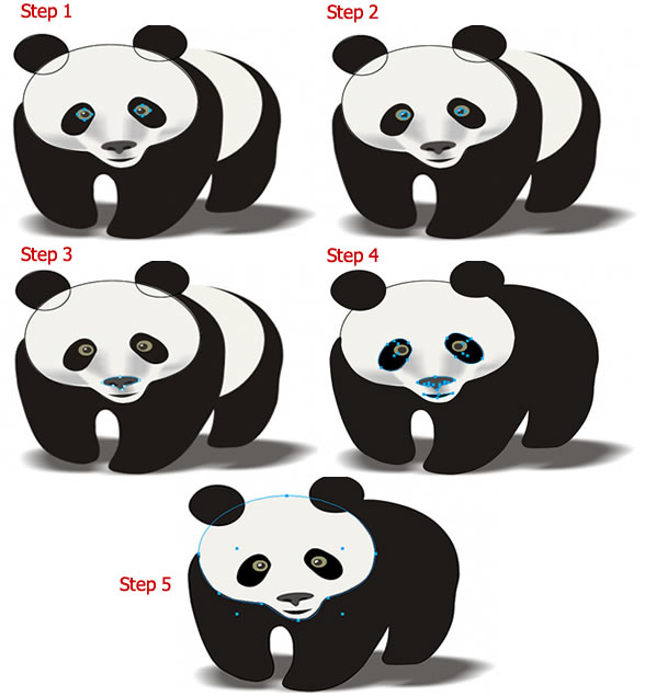 Panda Face Image Drawing
