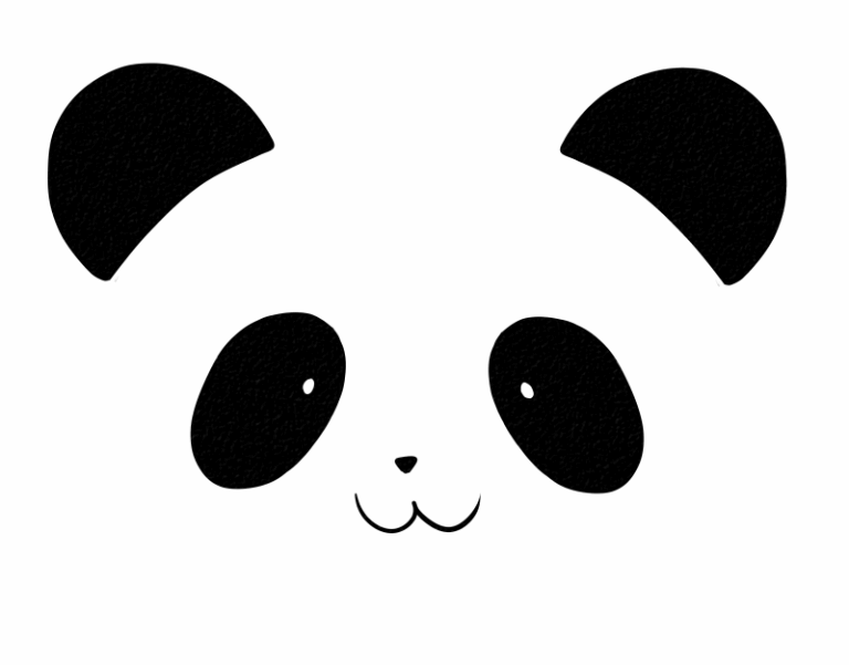 Panda Face Realistic Drawing