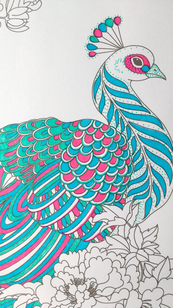 Peacock Amazing Drawing
