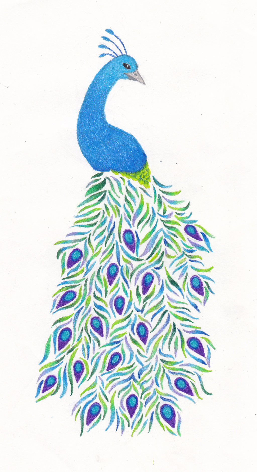 Peacock Best Drawing