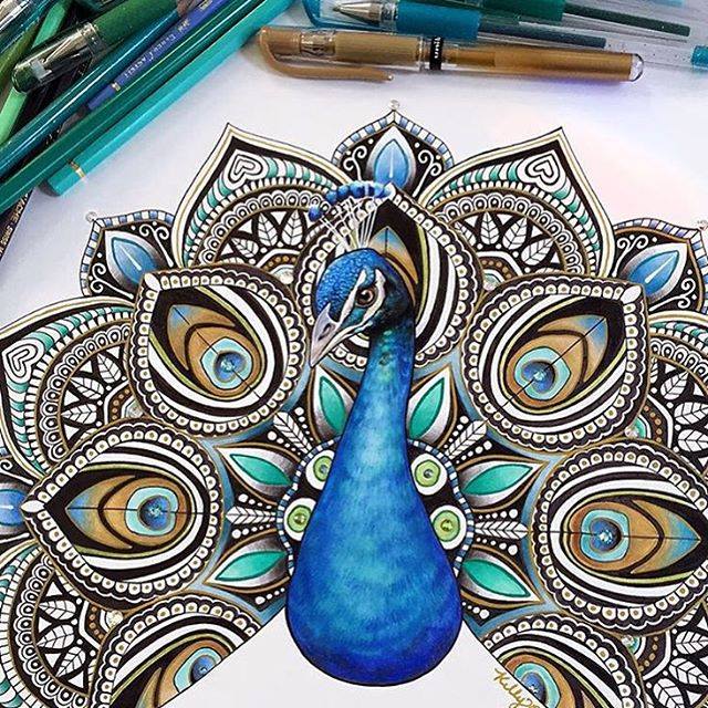 Peacock Image Drawing