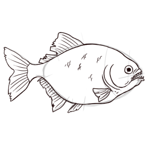 Piranha Drawing
