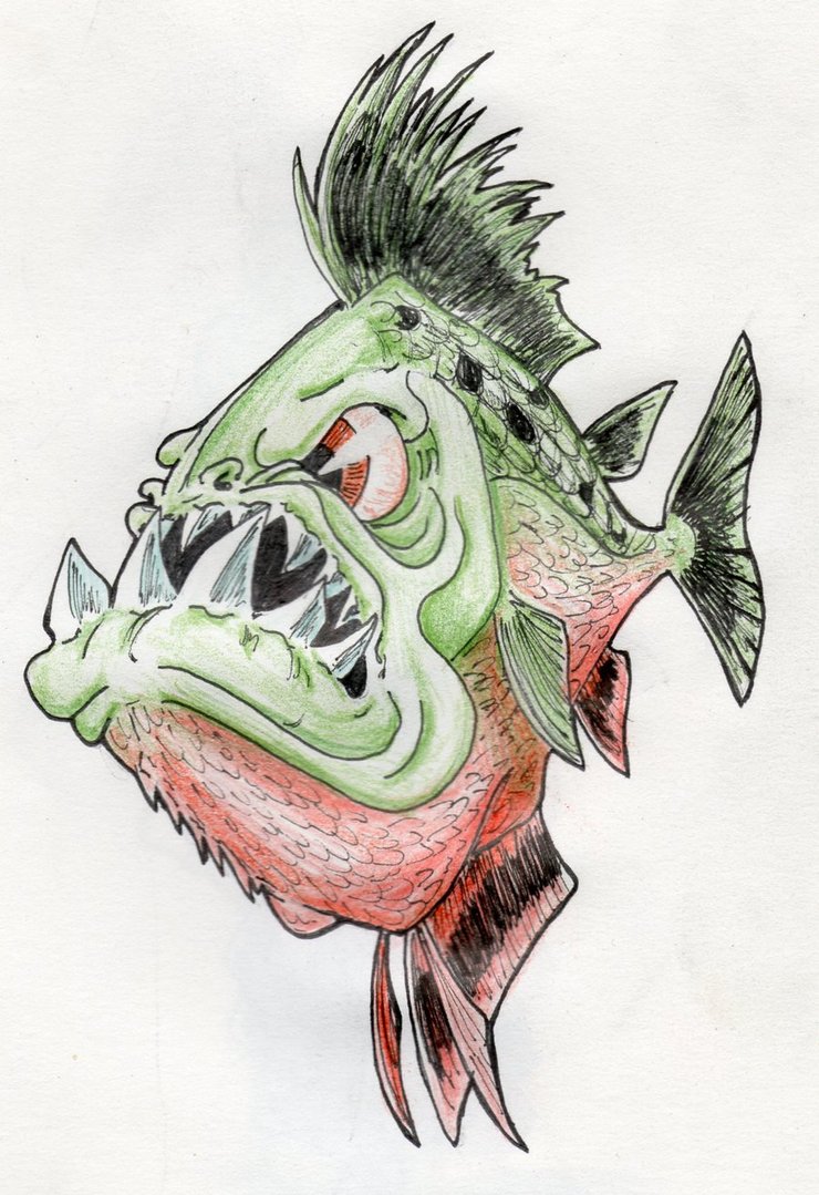 Piranha Picture Drawing