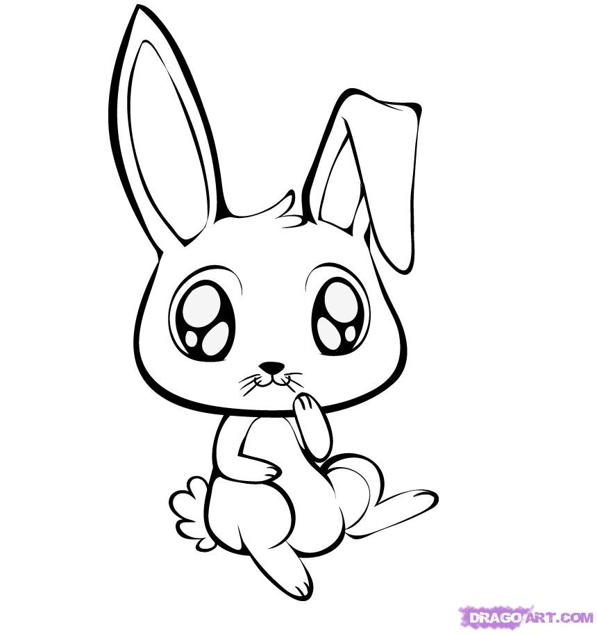 Rabbit Easter Amazing Drawing