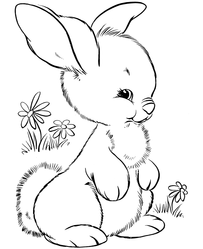 Rabbit Easter Drawing Pic