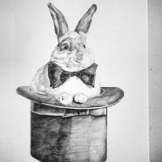 Rabbit Hat Photo Drawing