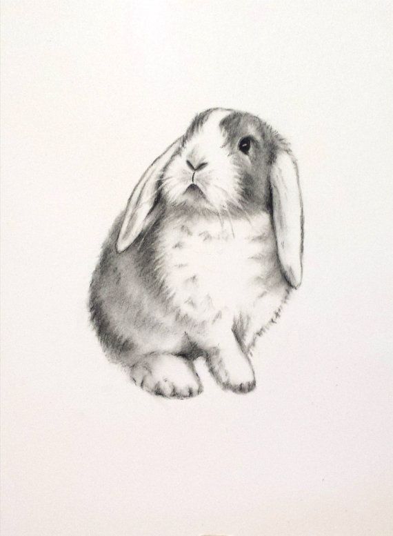 Rabbit Hat Sketch