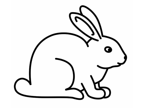 Rabbit Picture Drawing