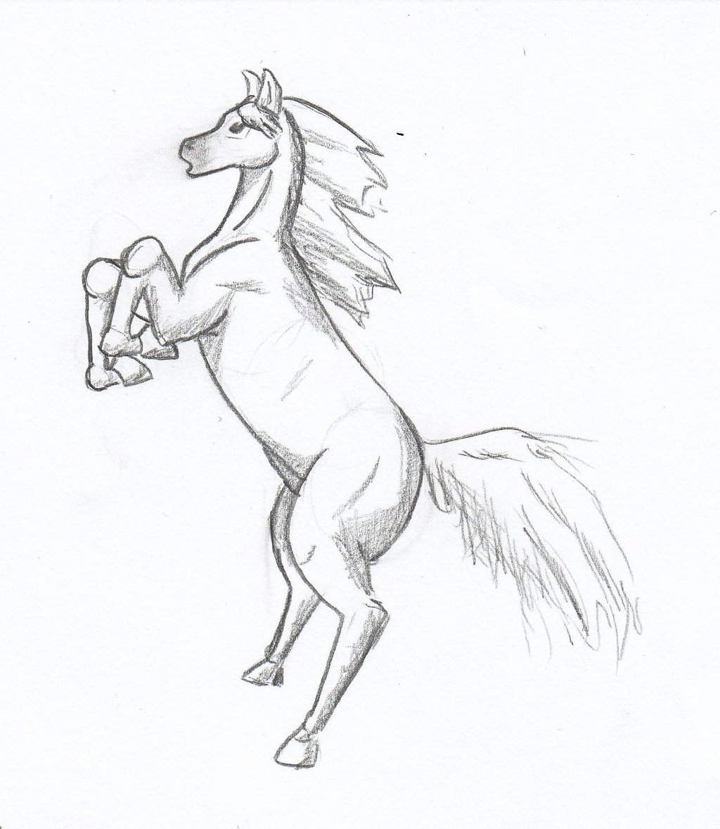 Rearing Horse Amazing Drawing