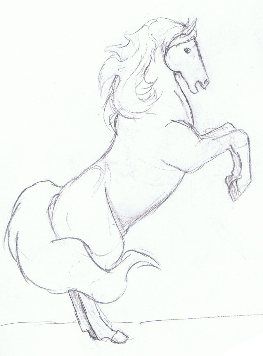 Rearing Horse Beautiful Image Drawing