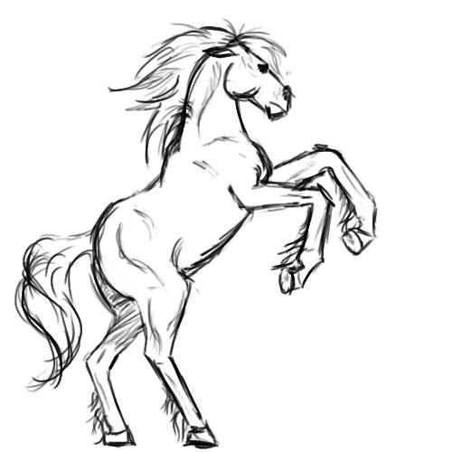 Rearing Horse Drawing Art