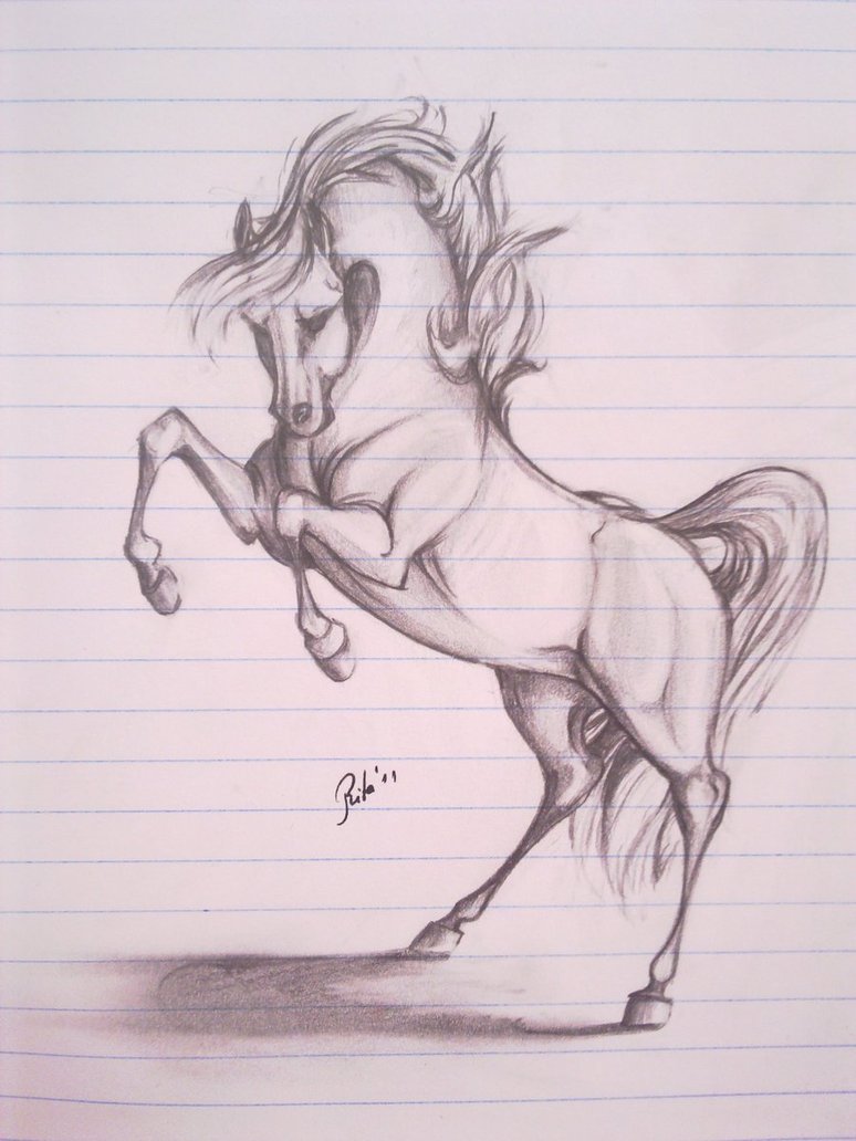 Rearing Horse Drawing Creative Art