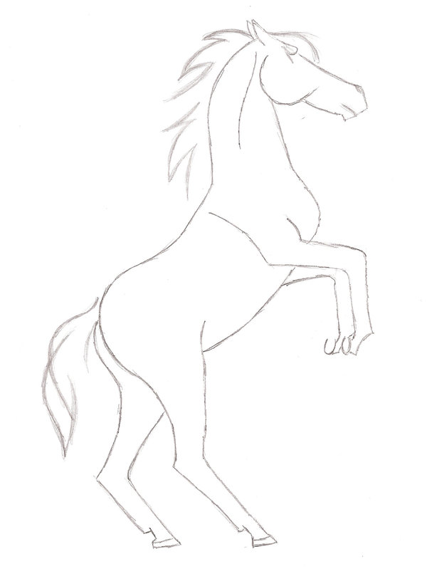 Rearing Horse Drawing Pic