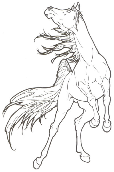 Rearing Horse Drawing