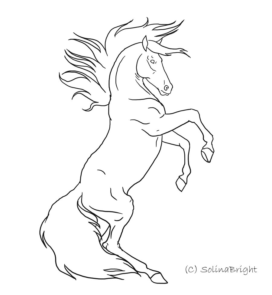 Rearing Horse Photo Drawing