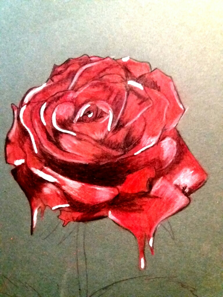 Red Rose Drawing Pic