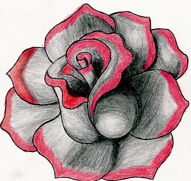 Red Rose Photo Drawing
